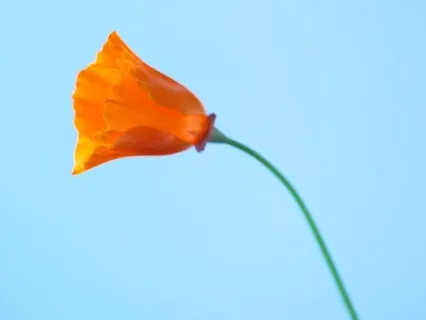 Sue Chats: Pockets Of Self Doubt