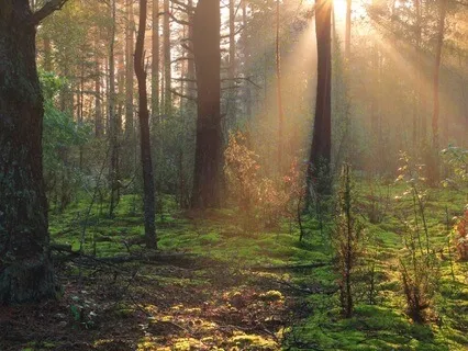 Meditation From Suffering As The Most Ordinary Thing