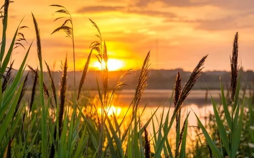 Suffering Is A Releasing Of Resistance Talk & Q&A)