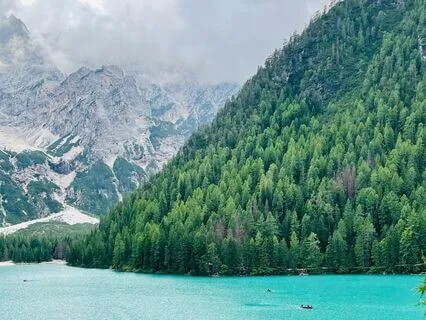 Suffering Is Optional, Choosing Your Response