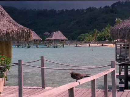 Suffering Loss & Coping With Deep Grief After Death