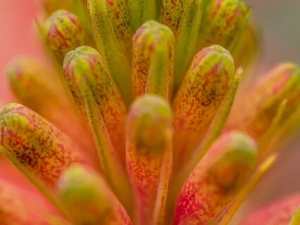 [Sufi] Mother's Breath