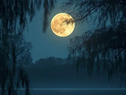 Suite Bergamasque, L.75: No. 3, Claire De Lune