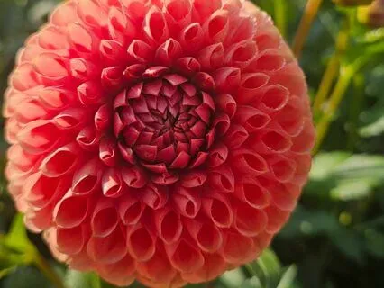 Summary Of The Channeled Wisdom Live Nov. 26