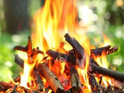 Summer Campfire Serenity: Crackling Flames & Nature’s Warmth