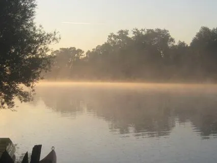 Summer: Cicada Lullaby