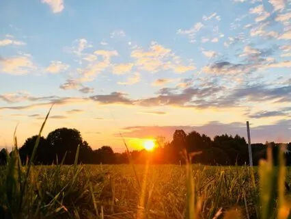 Summer Crickets With Layered Brown Noise