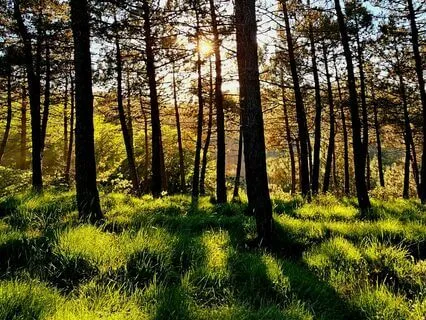 Relaxed & Empowered : Harnessing The Power Of The Season