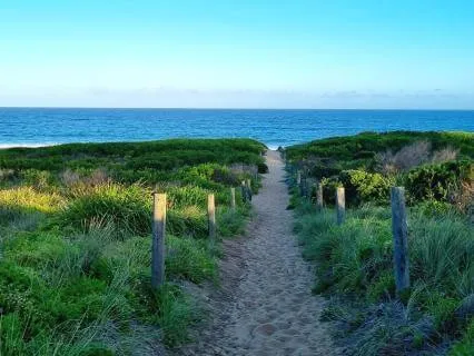 Summer Meditation 3: Cultivating Healthy Motivation