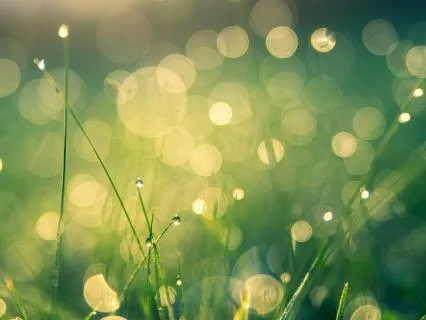 Summer Morning Breathwork For Focus & Intuition
