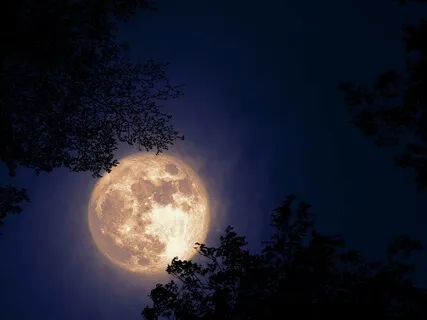 Summer Night Sadness (Piano With Evening Crickets Ambience)