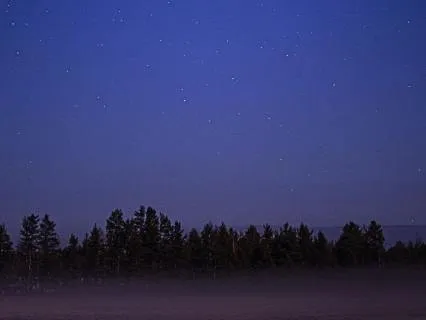 Summer Night Skies