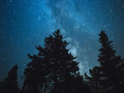 Summer Night Soundscape (Deep Sleep Meditation)