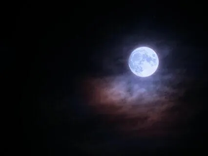 Summer Of 1984: Time Travel Sleep Story