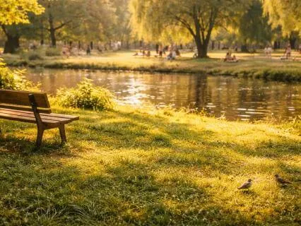 Summer Park Sounds For Relaxation