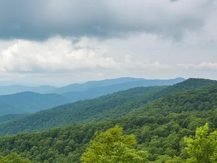 Summer Rain And Thunder In The Appalachian Wilderness