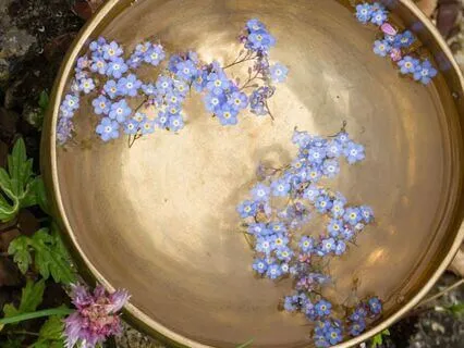 Summer Rain And Singing Bowl Serenity