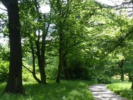 Summer's Walk (Piano Version)