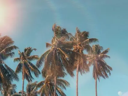 Summer Solstice (2026)