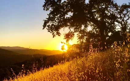 Summer Solstice And Moments Of Change