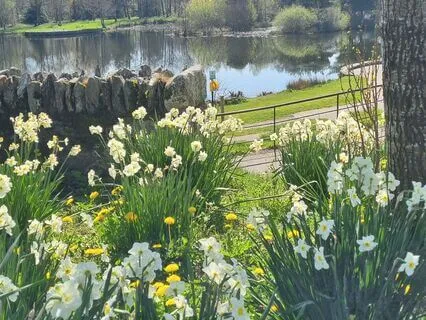 Summer Solstice - Awakening To Your Inner Light