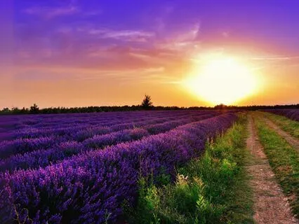 Summer Solstice Energy Cleanse & Astrology Meditation