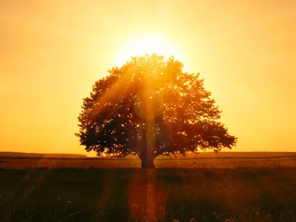 Summer Solstice Session