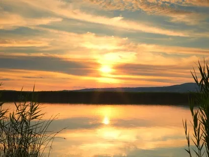 Summer Solstice Meditation