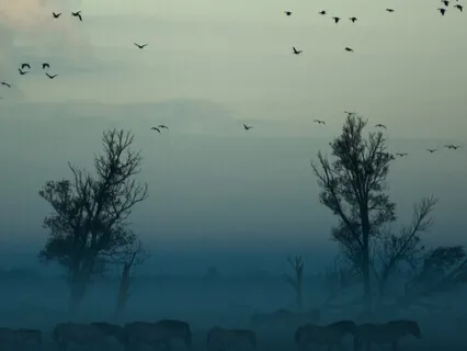 Summer Solstice Message From Archangel Michael