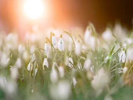 Summer Solstice Sunrise