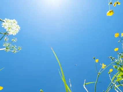 Summer Solstice Vibrant Energy