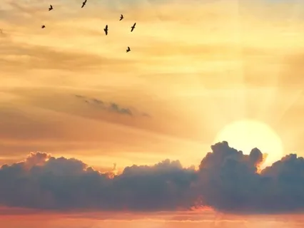 Summer Solstice Yoga Nidra