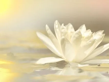 Serene Summer: A Journey Inward