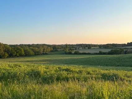 Summer Sunrise