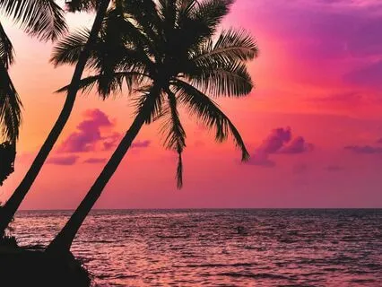 Summer Time Waves For Sleep And Relaxation