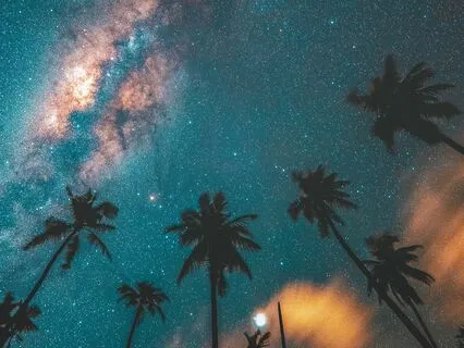 Summer Transition Imagery