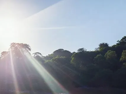 Summer Yoga Nidra - Finding Ease And Pleasure