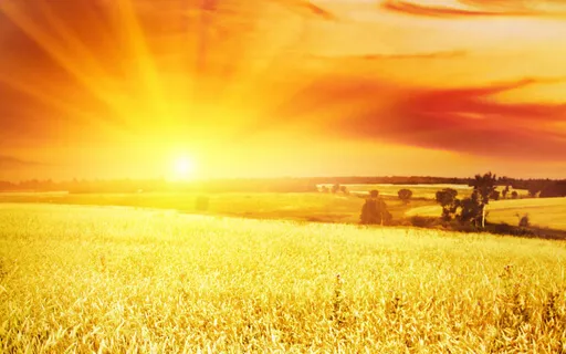 Sun Gazing - Guided Meditation