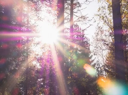 Sun Guided Meditation