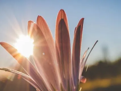 Sun Meditation: Reconnecting With Vitality And Inner Power