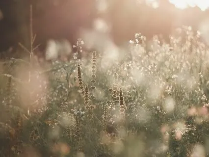 Sun Threads