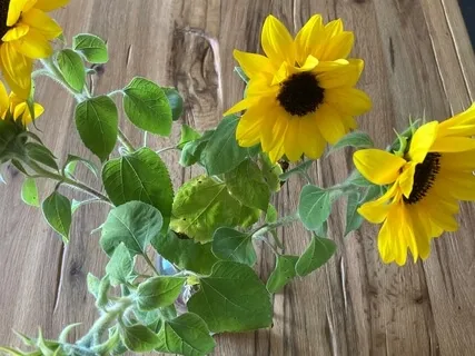 Sunday Evening Meditation