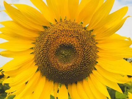 Sunday Morning Blessings