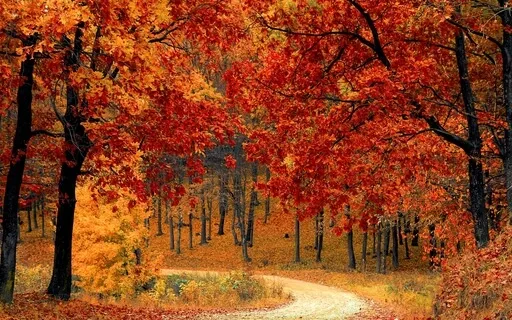 Sunday Morning Prayer 