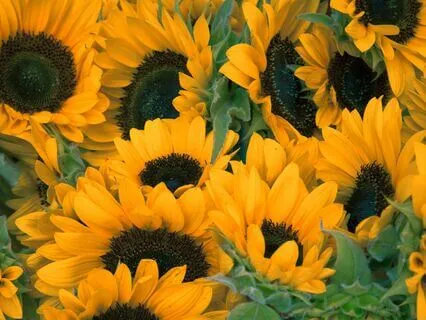 Sunday Morning Prayer