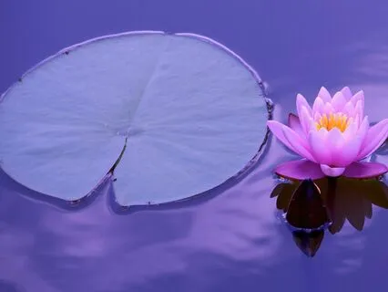 Sunday Savasana: Peace & Intention