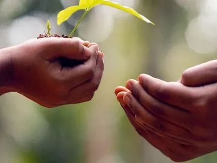 Sunday Series 4 - Love's Language (John 14:23-29)