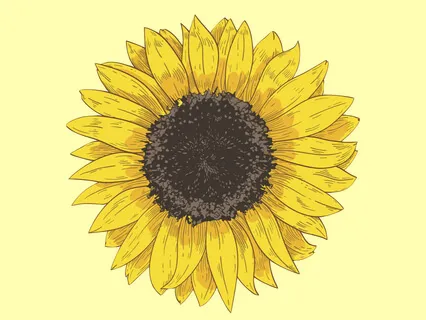 Sunflower Exercise For Kids