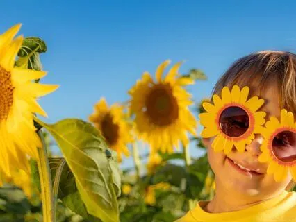 Sunflower Morning Stretch | Mini Relaxation For Grounding