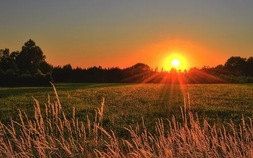 Sunlight Flow: Music For Relaxation, Studying & Calm